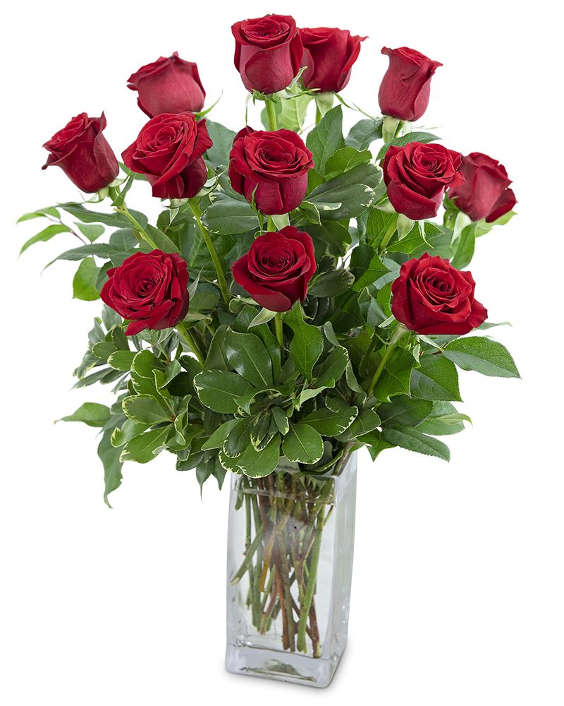 Classic Rose Arrangement Product Image