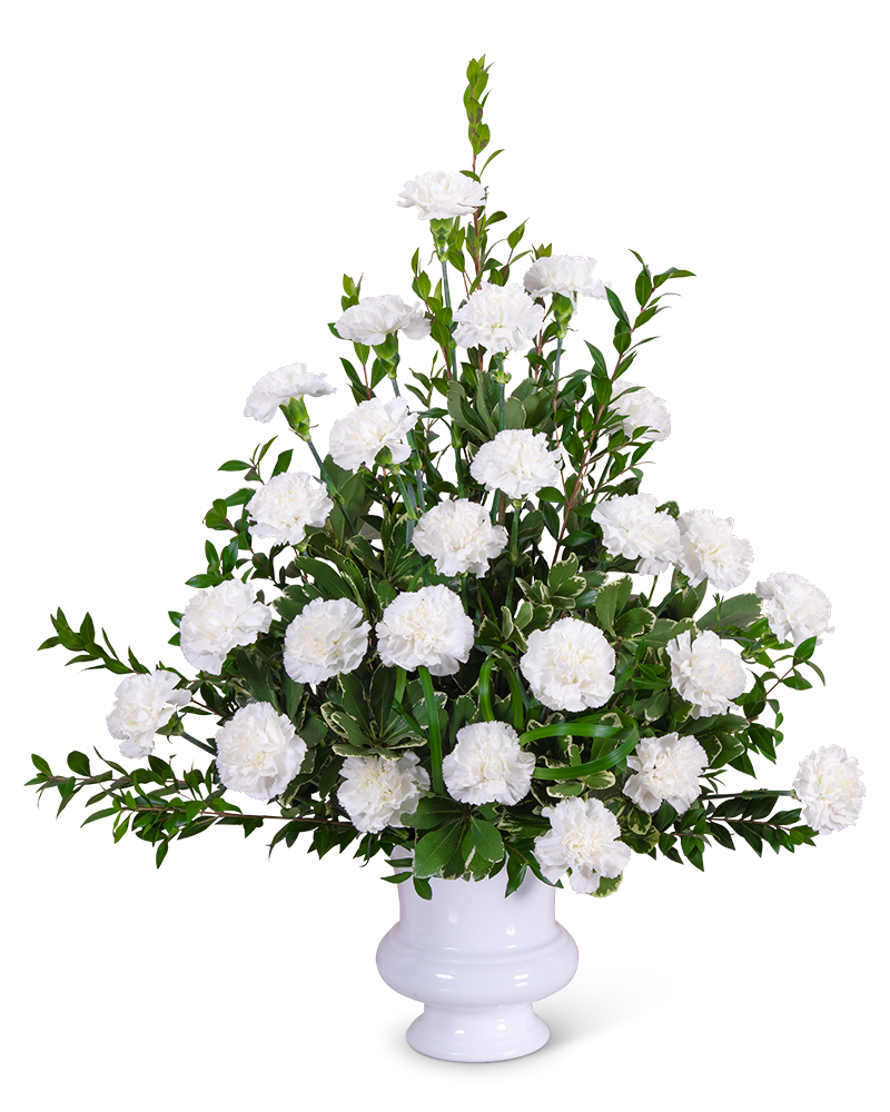 Devine Blessings Arrangement Product Image