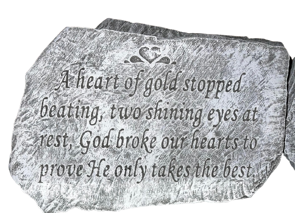 Stepping Stone Product Image